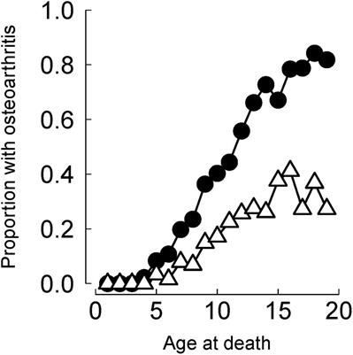The Role of Wolves in Regulating a Chronic Non-communicable Disease, Osteoarthritis, in Prey Populations